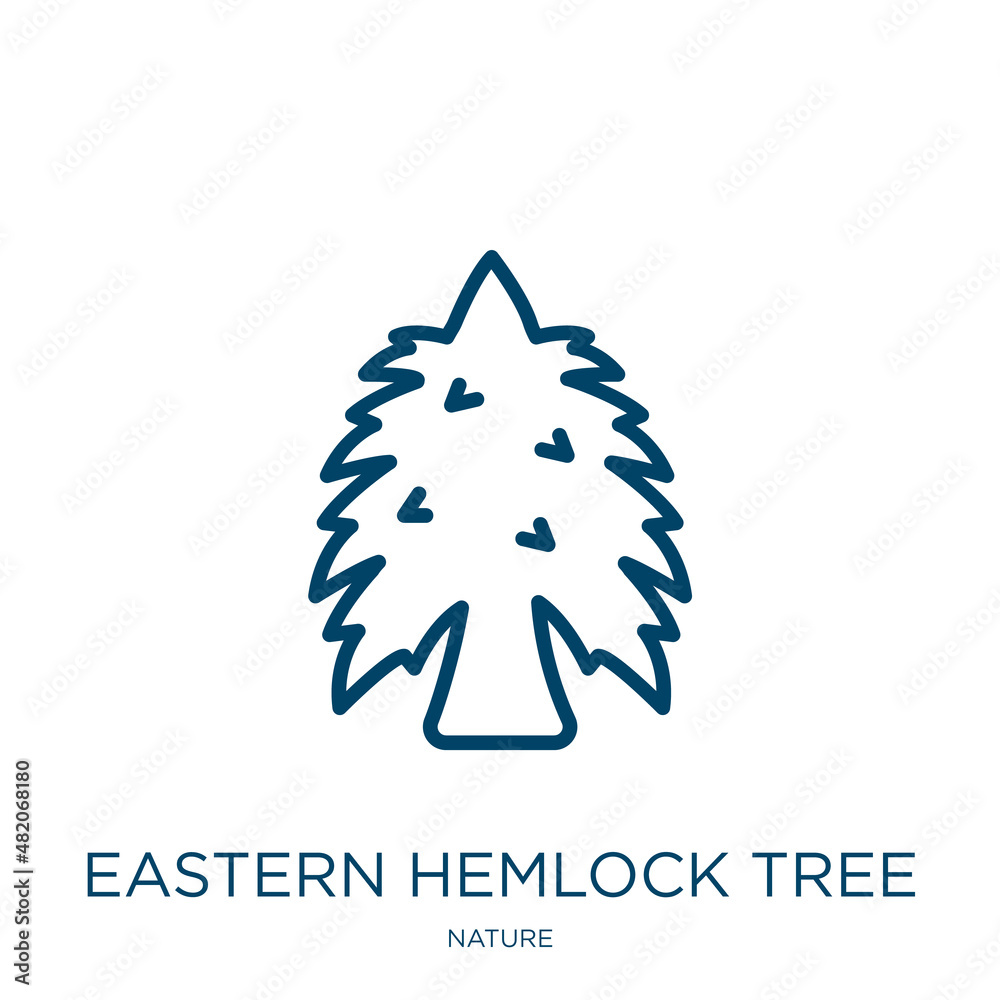 Vecteur Stock eastern hemlock tree icon from nature collection. Thin ...