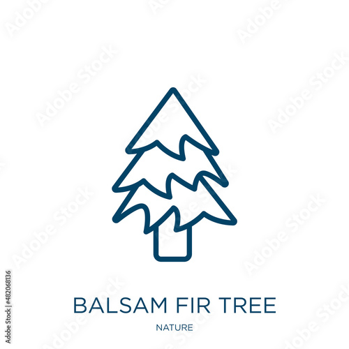balsam fir tree icon from nature collection. Thin linear balsam fir tree, fir, natural outline icon isolated on white background. Line vector balsam fir tree sign, symbol for web and mobile