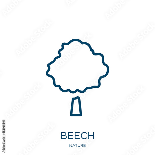 beech icon from nature collection. Thin linear beech, leaf, foliage outline icon isolated on white background. Line vector beech sign, symbol for web and mobile