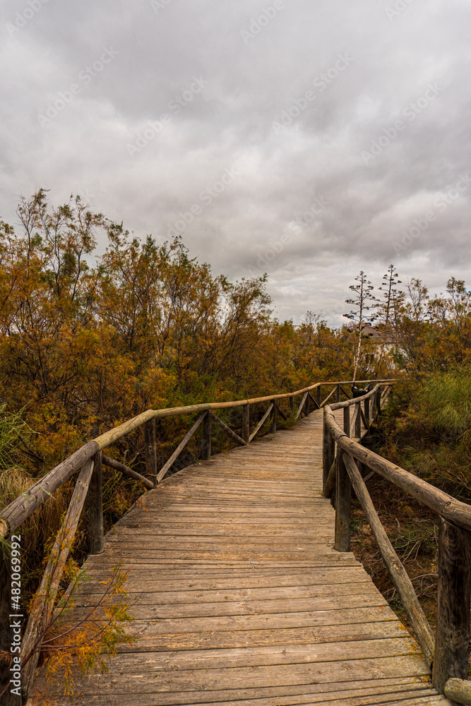 Beautiful wooden path over the dunes of Los Corrales beach in Chipiona (Cádiz)