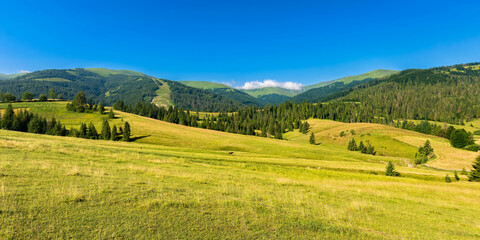 Acrylglasbilder Orange rural landscape in mountains on a summer morning. wonderful nature scenery with forested rolling hills and green grassy meadows on a sunny day.  © Pellinni
