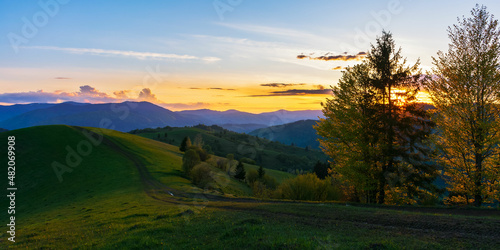 Fototapeta Naklejka Na Ścianę i Meble -  carpathian mountain landscape at dusk. idyllic nature scenery in evening light. trees on the grassy hills and meadows rolling in to the distant rural valley at the foot of borzhava ridge