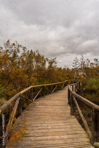 Beautiful wooden path over the dunes of Los Corrales beach in Chipiona  C  diz 