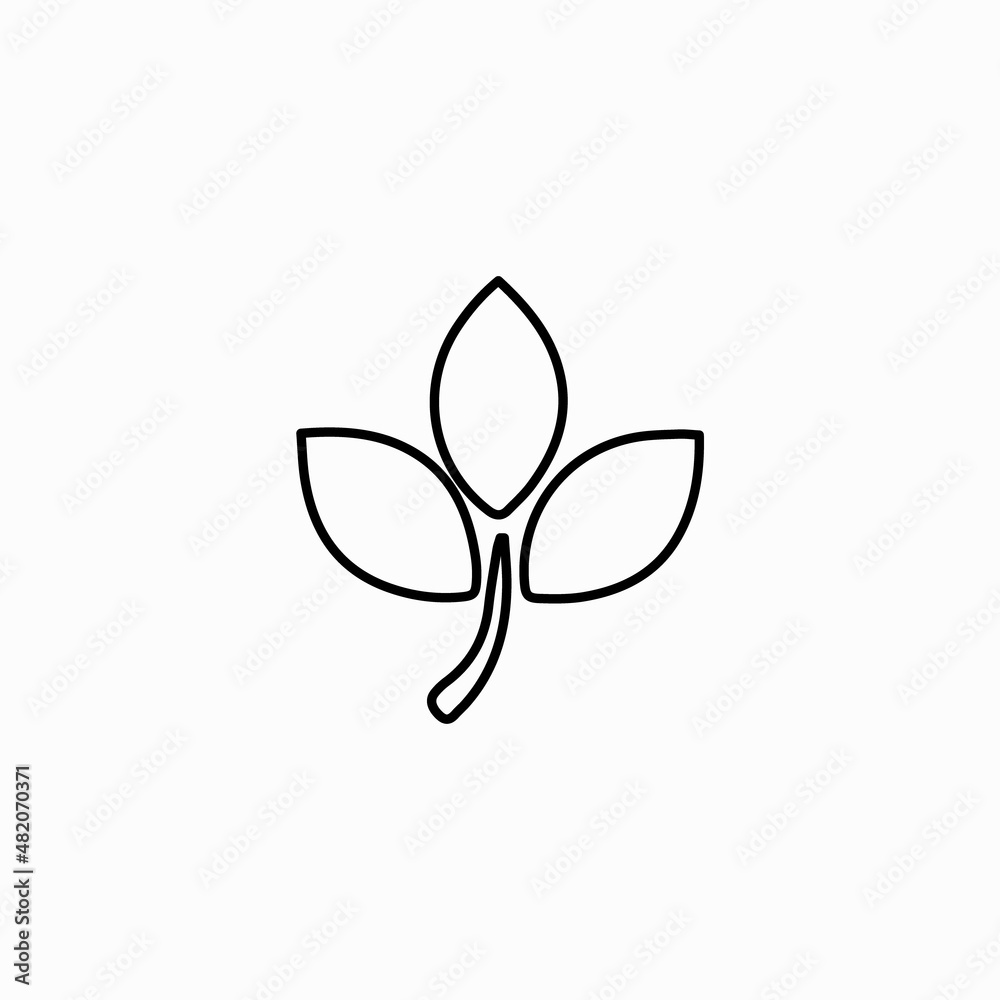 leaves icon vector sign and symbol isolated on white background, Branches with leaves logo concept