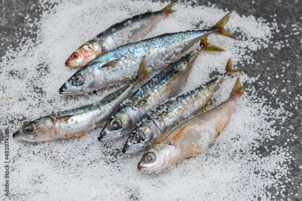 Whole raw organic mackerel fish with sea salt lying on a flat surface