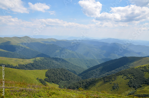 Panorama of mountains covered with dense forests in the rays of sunlight on a summer day. Carpathians, Ukraine © Dmytro