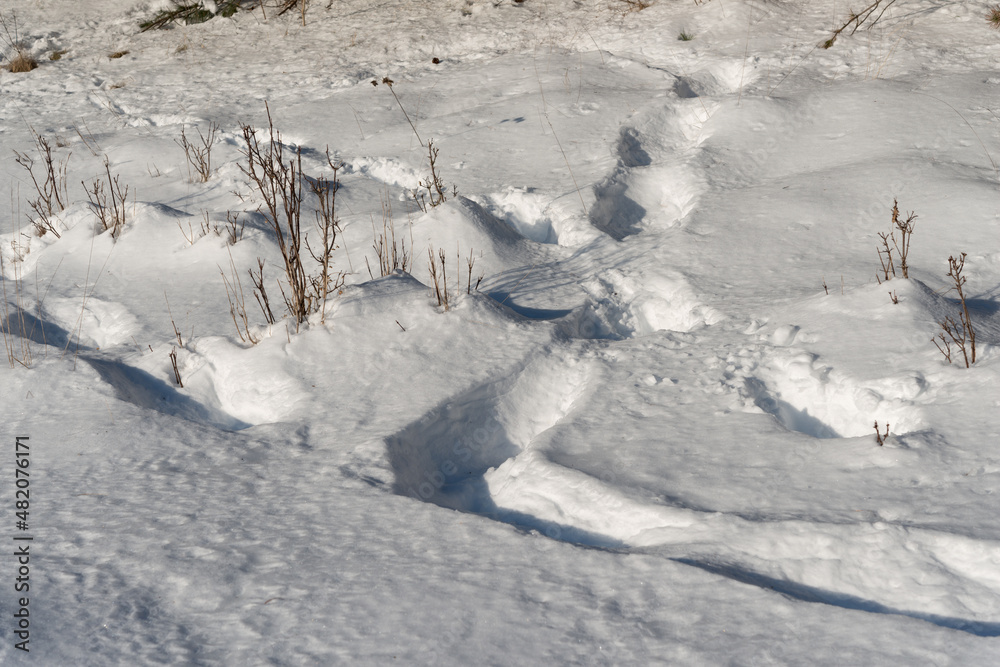 snow with tracks snow with tracks