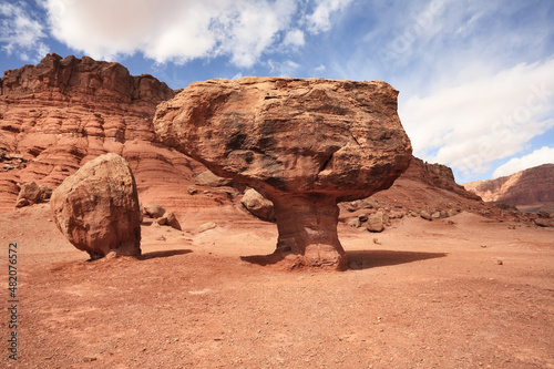 The giant mushroom of red sandstone