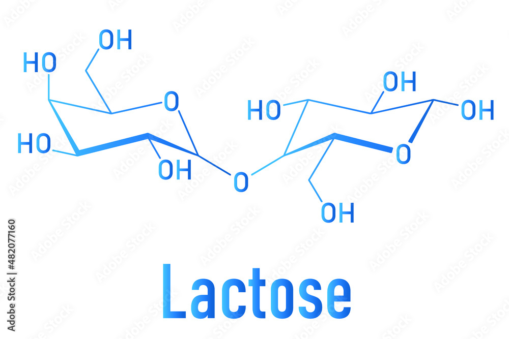 Lactose milk sugar molecule. Skeletal formula. Lactose milk sugar molecule. Skeletal formula.