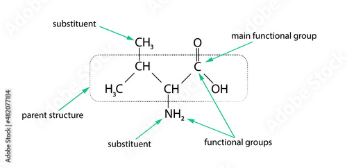 Chemical formula. Substituent. Vector illustration