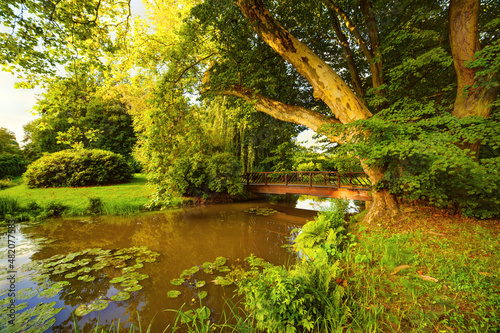 Bad Muskau ogród park platan drewniany most zieleń drzewa Park Mużakowski Niemcy, Saksonia