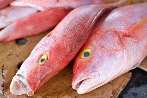 Red Snapper auf Fischmarkt