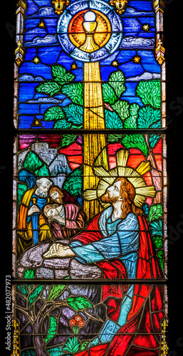 Jesus Praying Garden Gethsemane Stained Glass Church Saint Augustine Florida