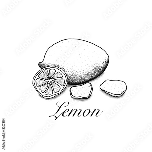Lemon monochrome illustration. Healthy spice cooking ingredient. Vitamin drink.