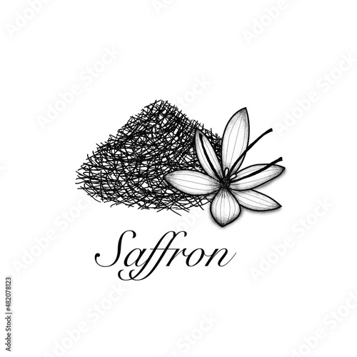 Saffron monochrome illustration. Healthy spice cooking ingredient. 