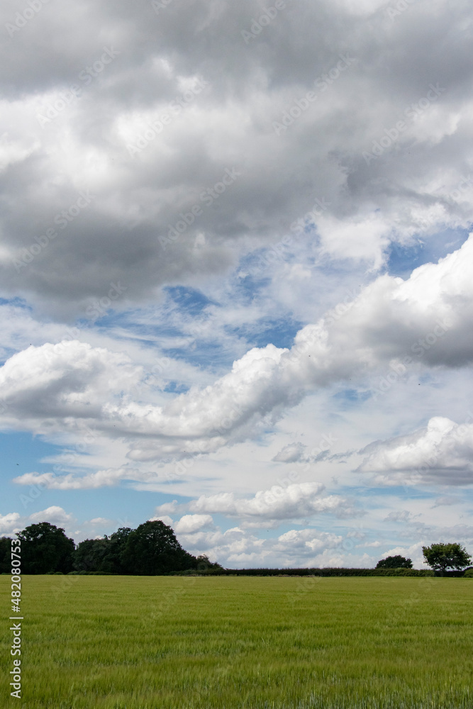 Spring field and clouds