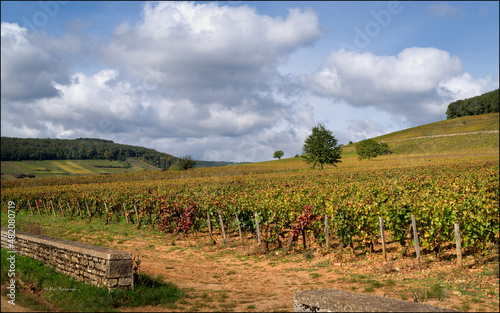 Climat de Bourgogne 