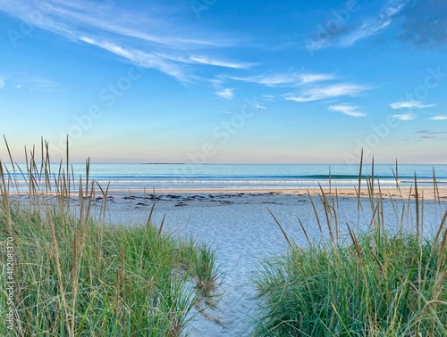 reeds on the beach, Old Orchard Beach, Maine photo