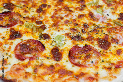 Close-up of pizza topped with salami, cheese and oregano.