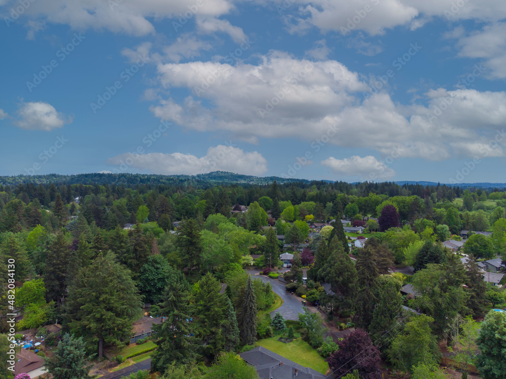 Shooting from the air. Small green city, suburb. Lots of trees, green lawns. Mountains are visible in the distance. Blue sky with white clouds. Ecology, housing issue, geology.