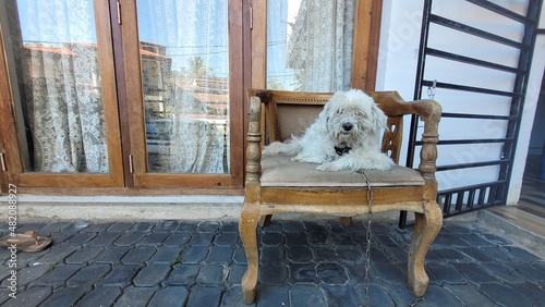 old rocking chair