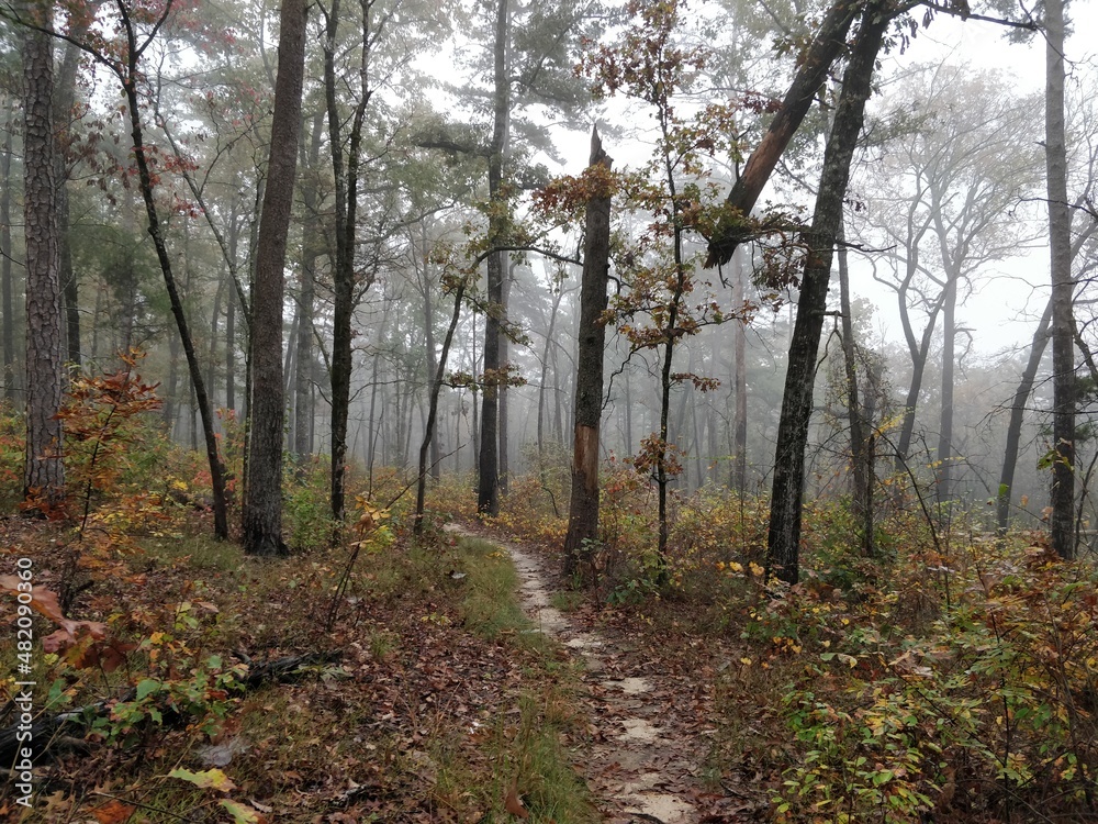 Fototapeta premium Perfect Fall environments in Tallulah Gorge State Park