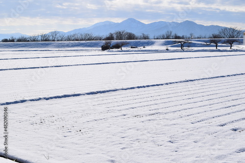 豪雪地方の雪景色 山形県庄内 © FRANK