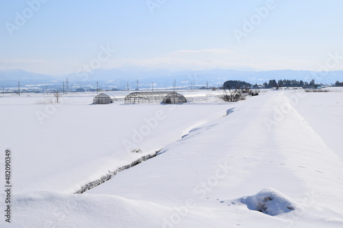 豪雪地方の雪景色 山形県庄内