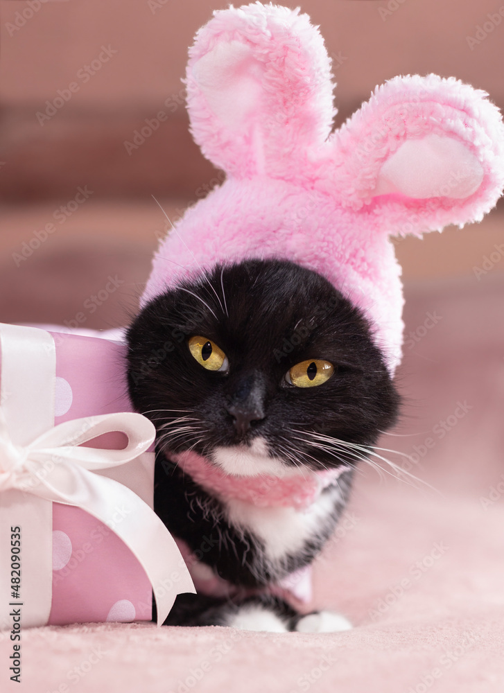 A black cat in a pink bunny outfit is sitting on the bed with a gift. Soft focus.