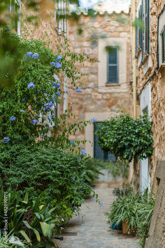 Fototapeta Naklejka Na Ścianę i Meble -  Romantic and cosy streets and views in the picturesque small town Fornalutx, Majorca, Spain