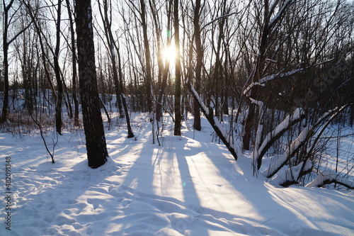 river in winter