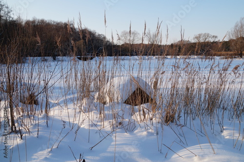 lake in winter