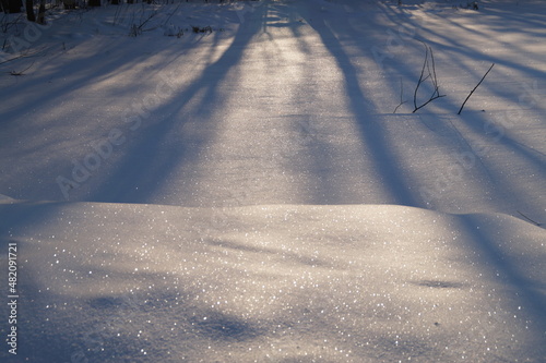 tracks in snow