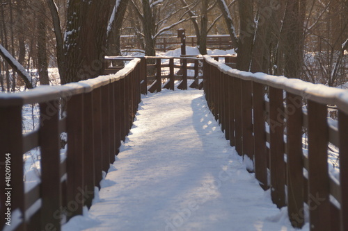 bridge in winter