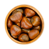 Unshelled chestnuts, in a wooden bowl. Raw nuts of sweet chestnut, Castanea sativa. They can be eaten raw, candied, cooked or milled into flour, or they get roasted and sold as warm snack on streets.