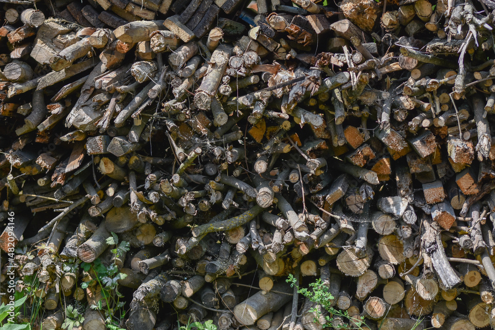 stack of dry wood for fire in Bistrita, Romania 2022 