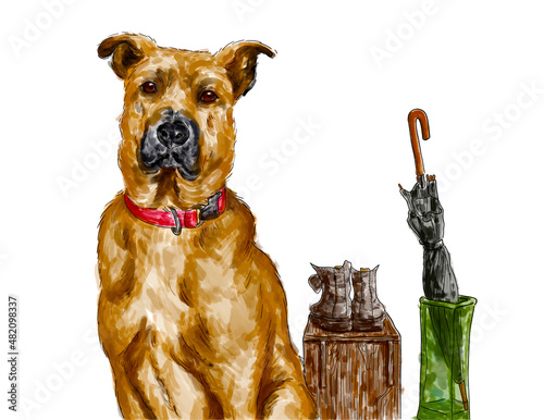 Vászonkép Black mouth cur dog breed drawing