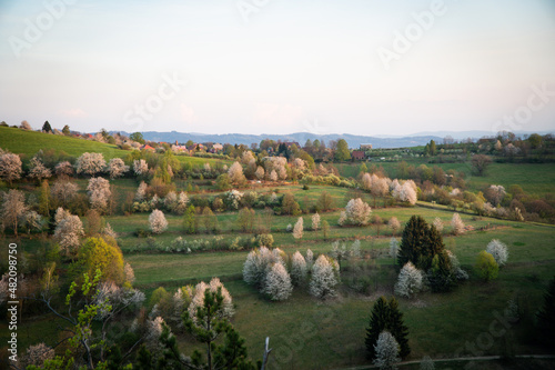 landscape of region