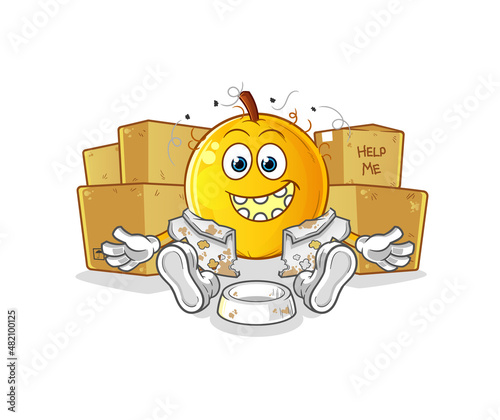 langsat fruit homeless character. cartoon mascot vector