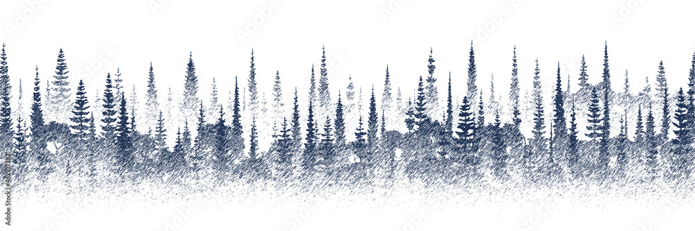 Vector sketch, banner. Forest, imitation of a pencil drawing.