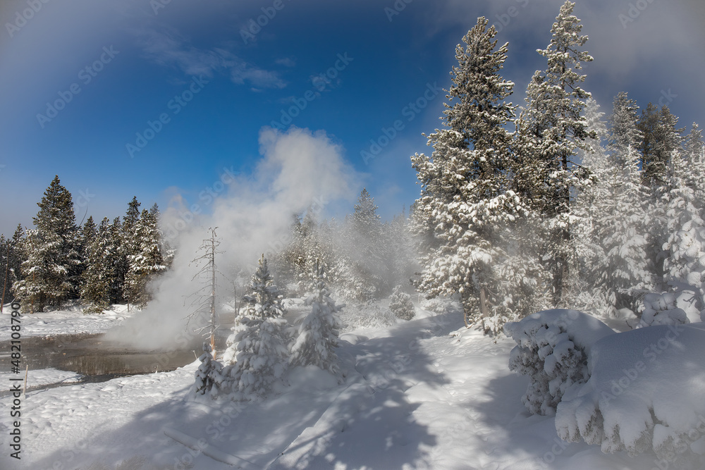Thermal feature in the woods of Yellowstone National Park during the winter