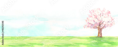 水彩で描いた桜の木と芝生の風景