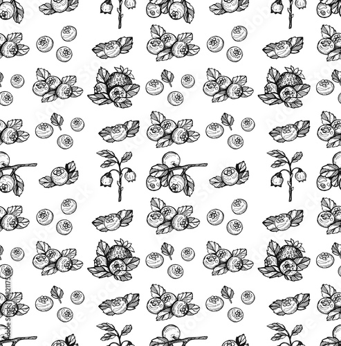 blueberry seamless pattern vector sketch. blueberry sketch. blueberry seamless pattern hand drawing. blueberry seamless pattern vector doodle. vector eps art