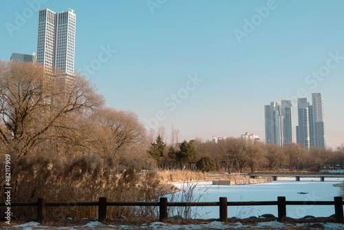 Canvas Print Seoul Forest Park and apartment building at winter in Seoul, Korea