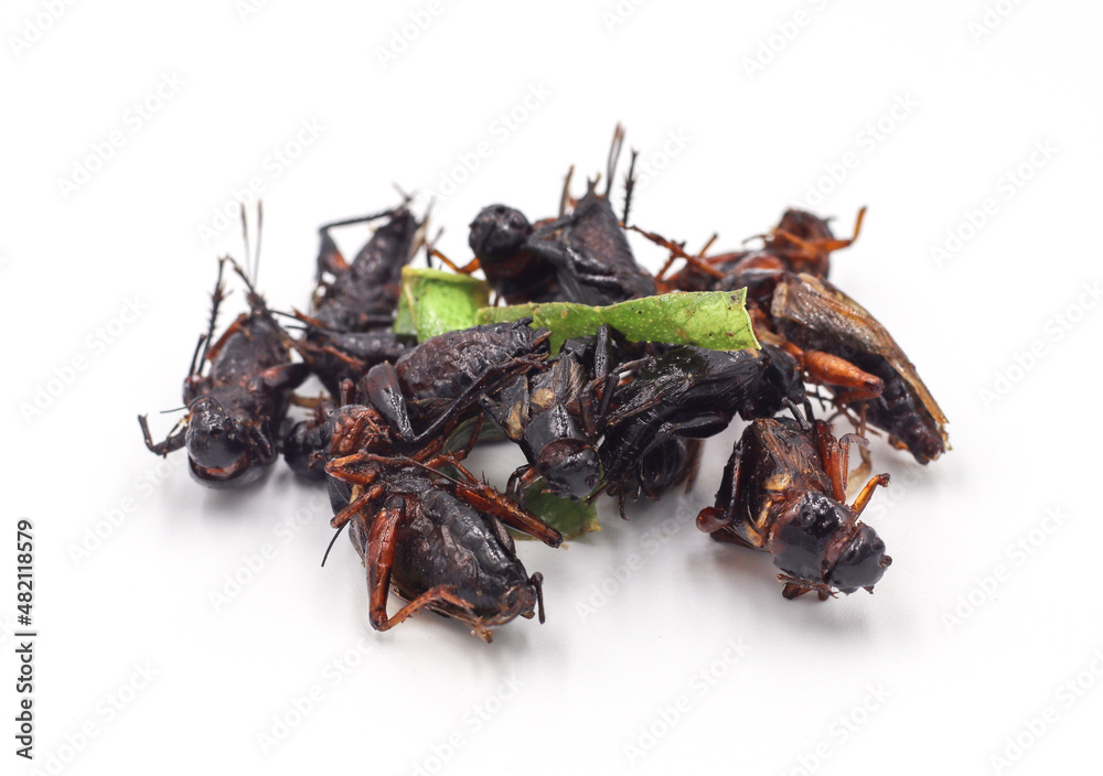 Obraz premium Fried insects. Fried crickets with grasshopper and kaffir lime leaves isolated on white background