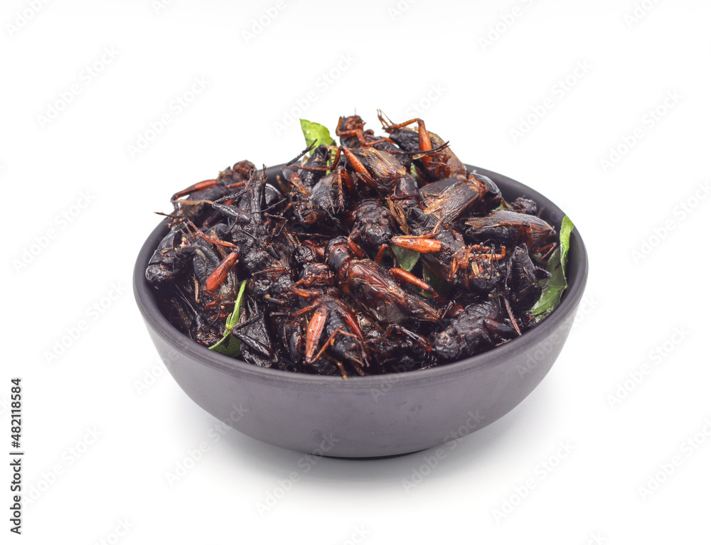 Fried insects, fried crickets with grasshoppers and kaffir lime leaves in a black cup with separate servings on a white background Fried insects, fried crickets with grasshoppers and kaffir lime leaves in a black cup with separate servings on a white background