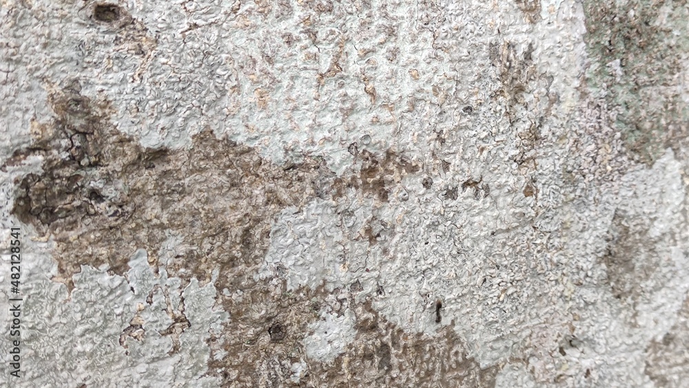 Natural wood pattern, used as a background Natural wood pattern, used as a background