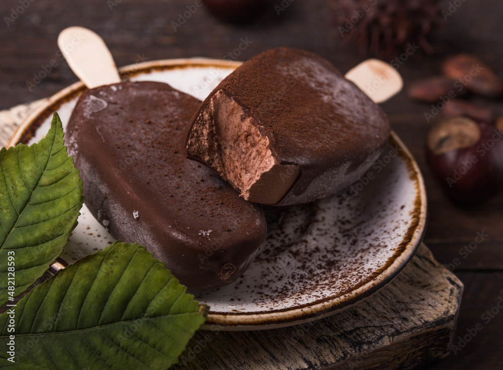 Composition with chocolate chestnut ice cream on a stick Composition with chocolate chestnut ice cream on a stick