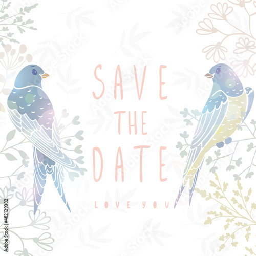 amazing swallows color