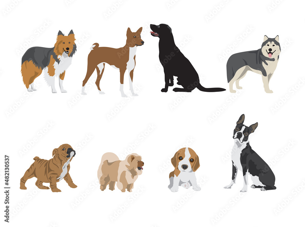 Many different breeds of dogs. vector illustration.
